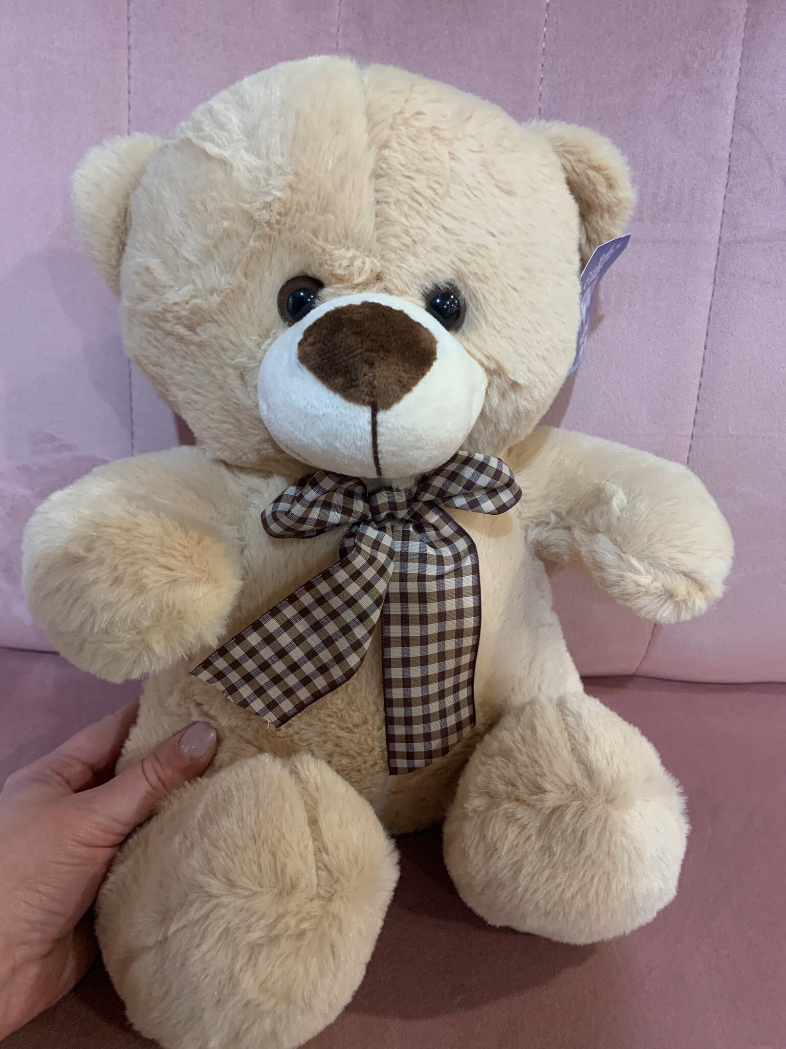 Фотография покупателя товара Мягкая игрушка «Медведь», с бантом, 30 см, цвет бежевый - Фото 3