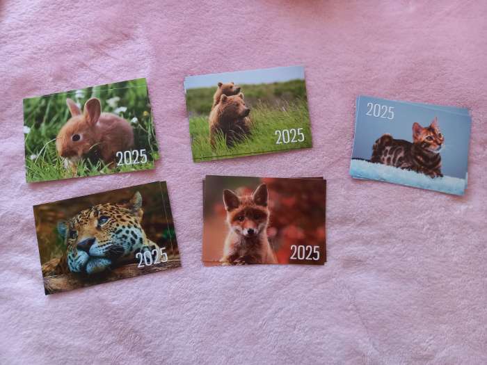 Фотография покупателя товара Календарь 2025 год карманный «Фрукты» 7×10 см, МИКС - Фото 3