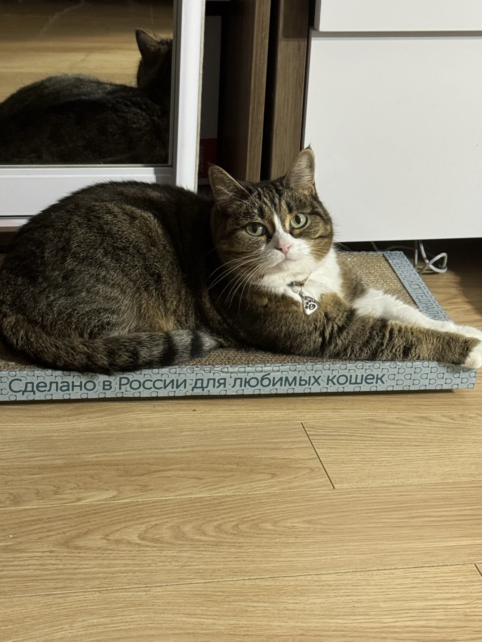 Фотография покупателя товара Домашняя когтеточка-лежанка для кошек, 56×30 см - Фото 4