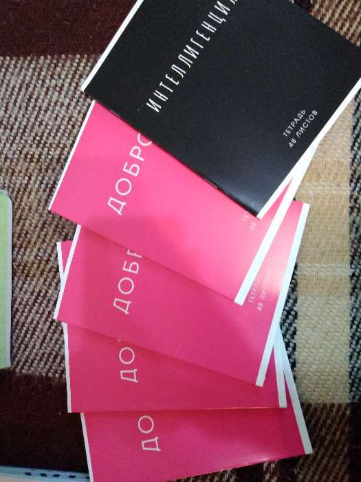 Фотография покупателя товара Тетрадь 48 листов в клетку, Calligrata «Фраза», МИКС - Фото 4