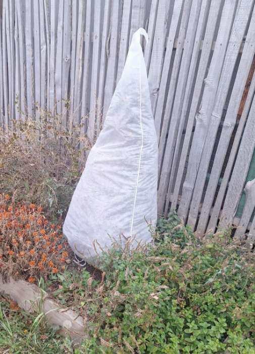 Фотография покупателя товара Чехол для растений, конус на завязках, 120×100 см, спанбонд с УФ-стабилизатором, плотность 60 г/м², МИКС, Greengo - Фото 1