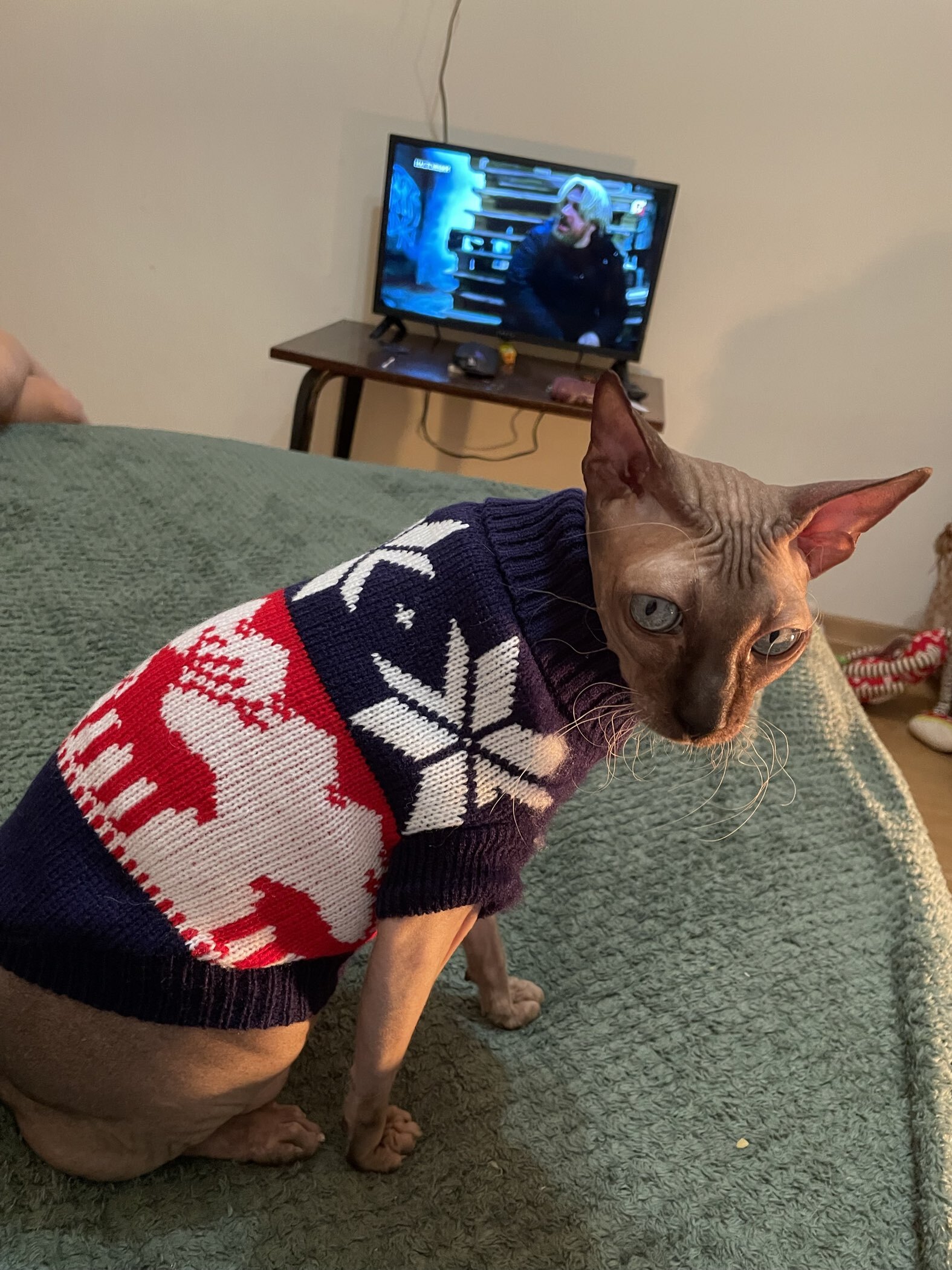 Фотография покупателя товара Свитер «Бегущие олени», L (ДС 30, ОШ 30, ОГ 45 см), синий - Фото 1