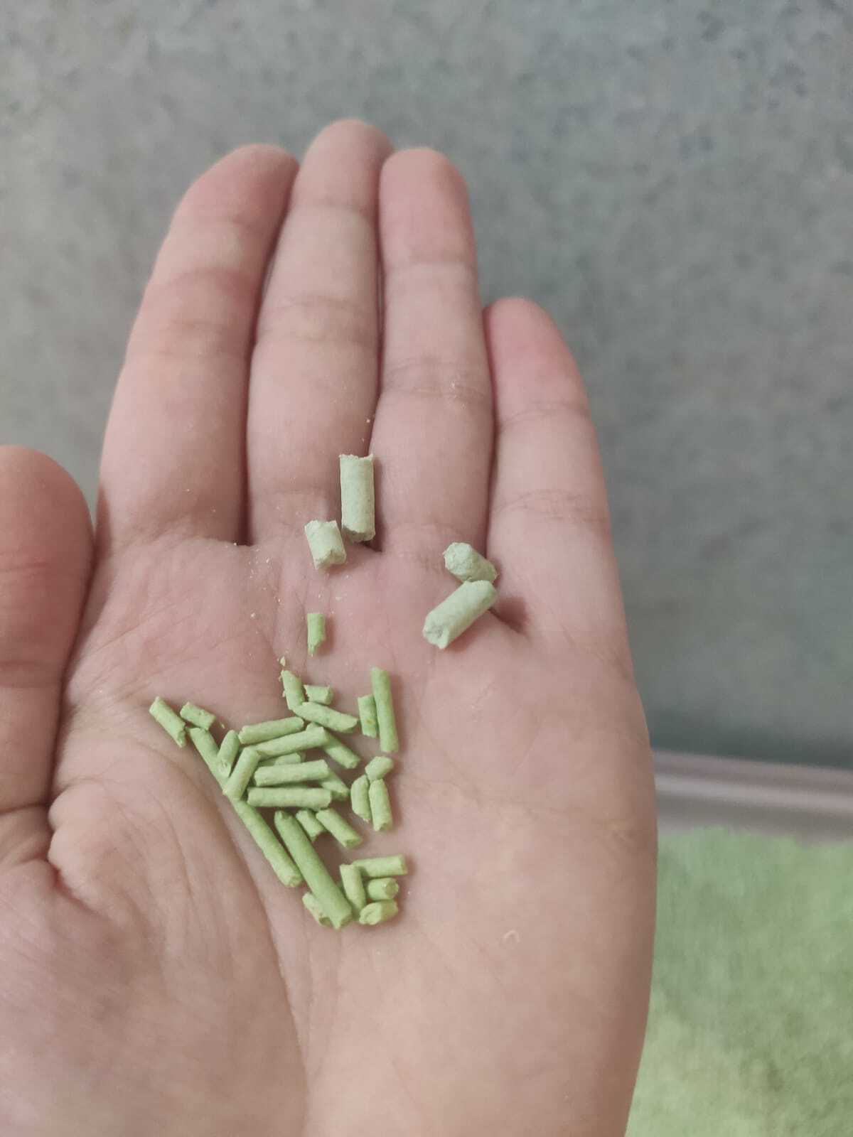 Фотография покупателя товара Наполнитель тофу "Котэ", 5 л, зелёный чай - Фото 2