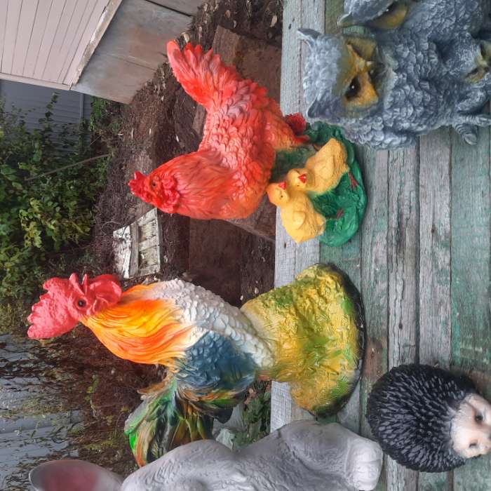 Фотография покупателя товара Садовая фигура "Петух пёстрый" светлая грудка, 32х42см МИКС - Фото 1
