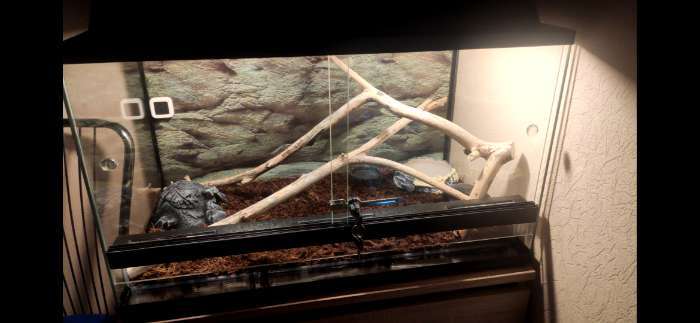 Фотография покупателя товара Террариум с раздвижными дверцами 112 л, 70×40×40 см - Фото 1