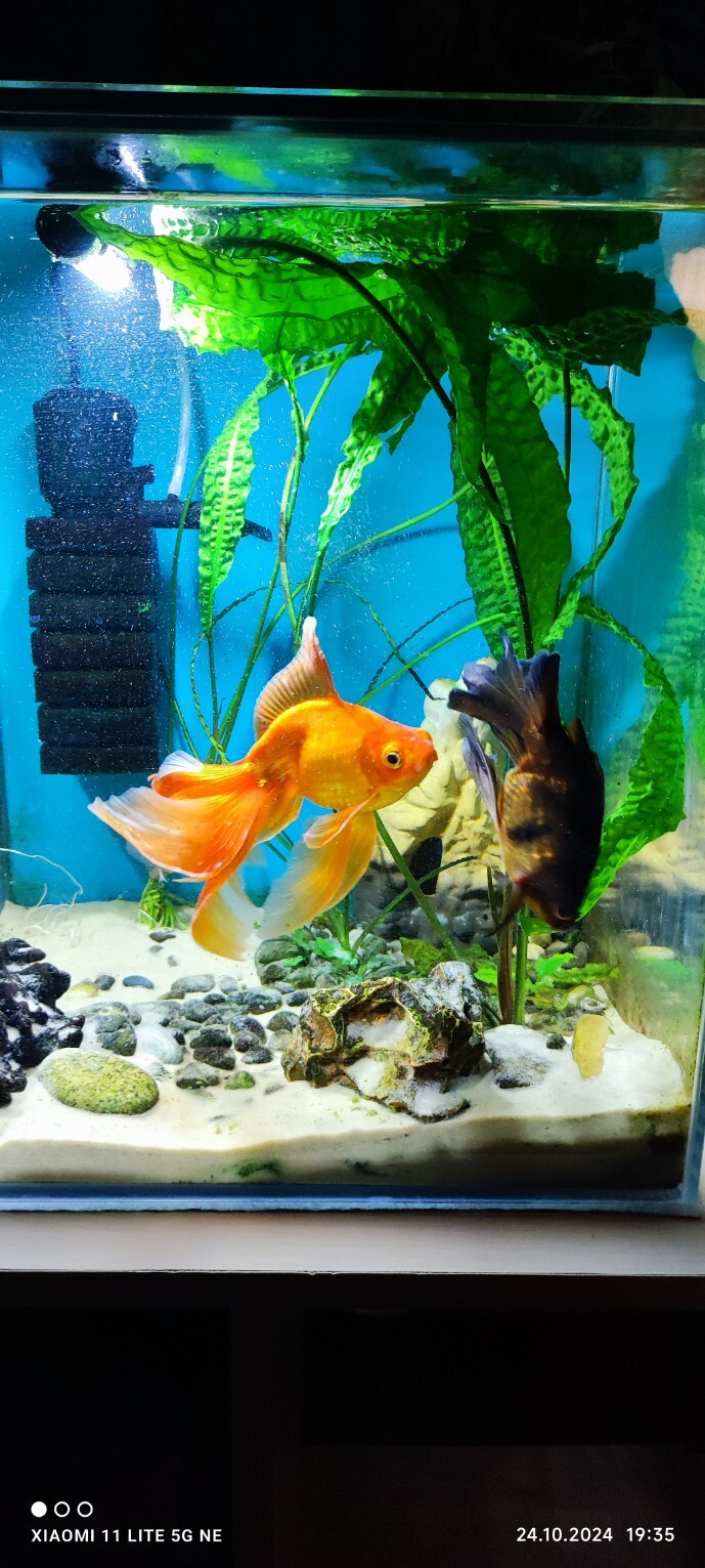 Фотография покупателя товара Светильник подводный, JINGYE, 17.5 см, 2 Вт, белый - Фото 2