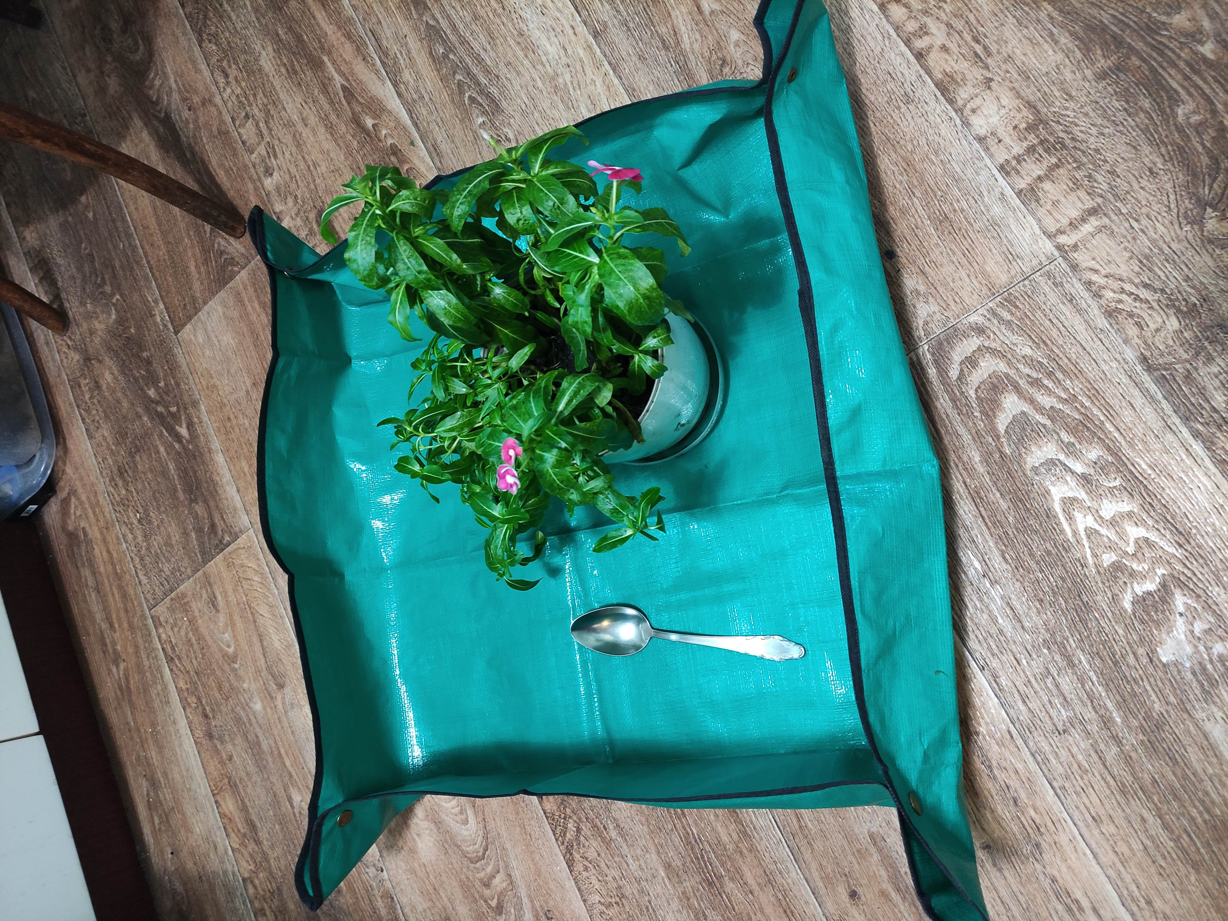 Фотография покупателя товара Коврик для пересадки растений, пластик, 75 × 75 см, Greengo - Фото 1