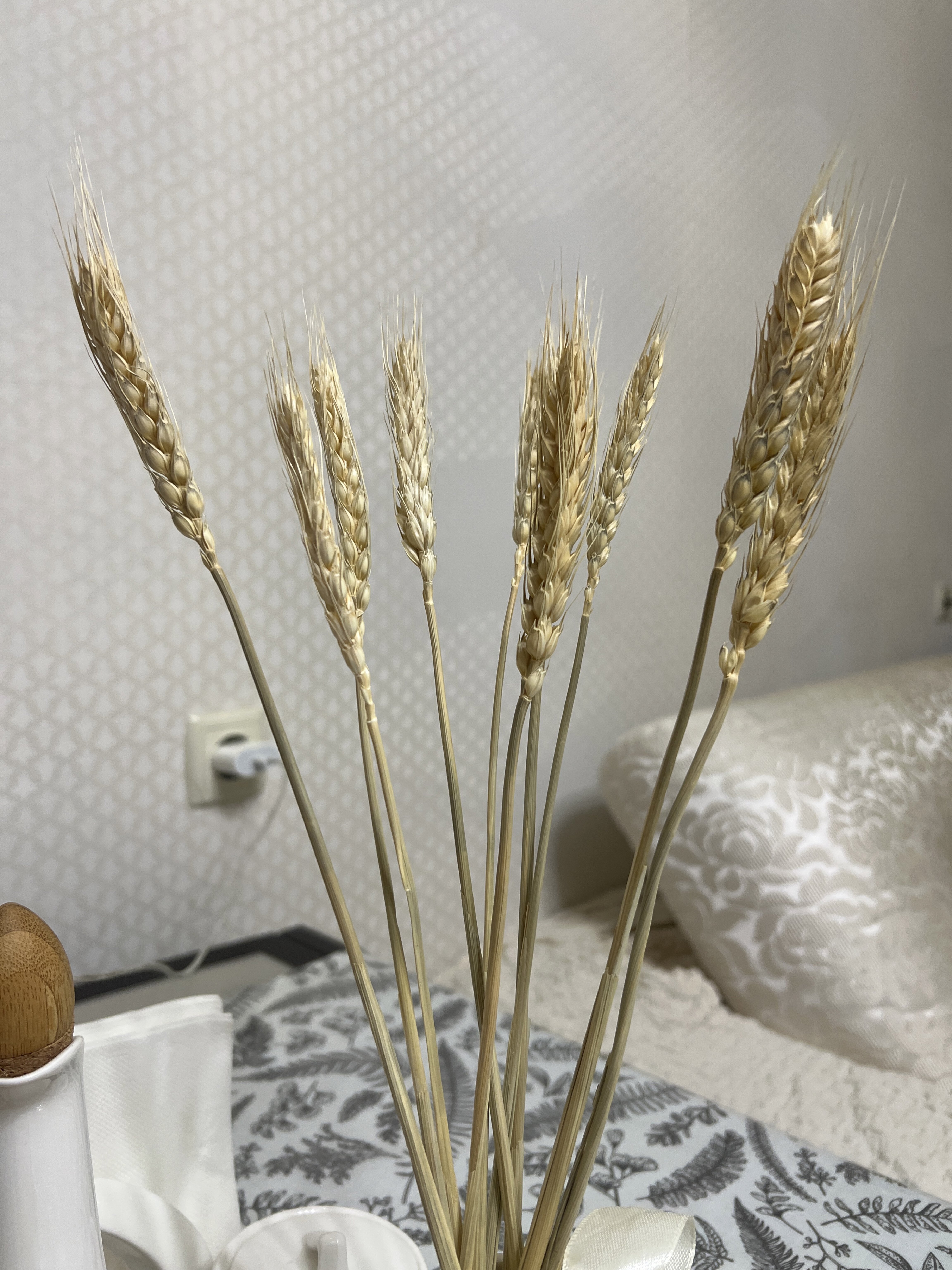 Фотография покупателя товара Сухоцветы «Пшеница», h=60 см, набор 10 шт., бежевые - Фото 1