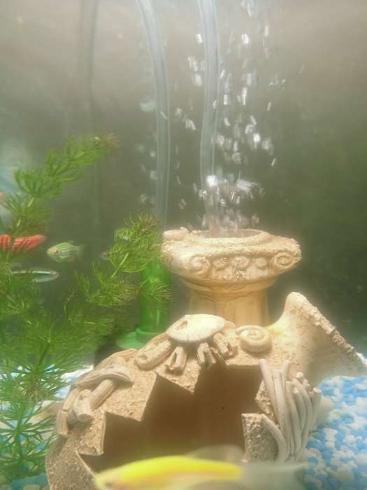 Фотография покупателя товара Трубка для компрессора силиконовая, Ф4 мм, 2 м - Фото 1