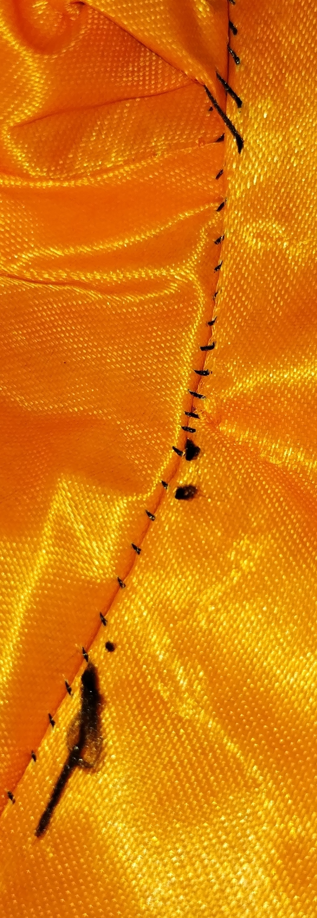 Фотография покупателя товара Карнавальная шляпа «Оранжевая», драпированная, с летучей мышью, р. 56 – 58 - Фото 1