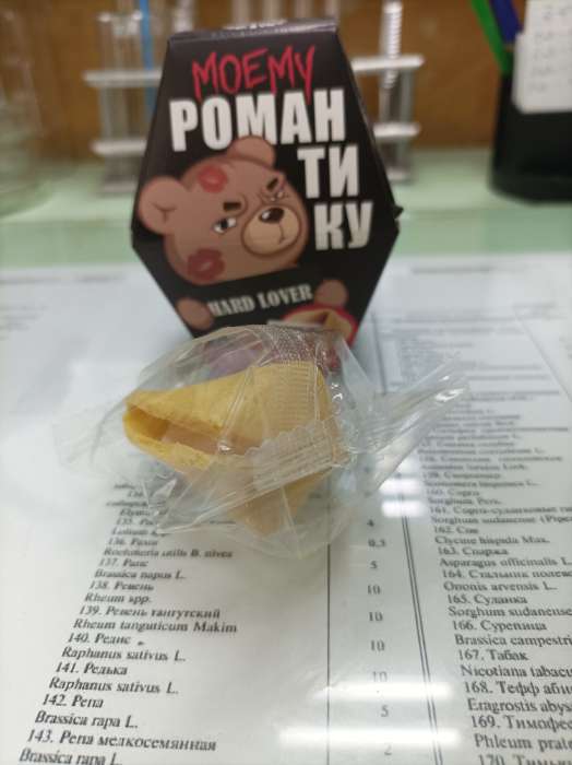 Фотография покупателя товара УЦЕНКА Печенье с предсказанием "Моему романтику", 1 шт. - Фото 24