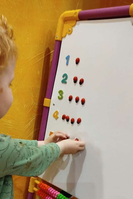 Фотография покупателя товара Набор магнитов «Божья коровка», 20 шт., красный - Фото 1