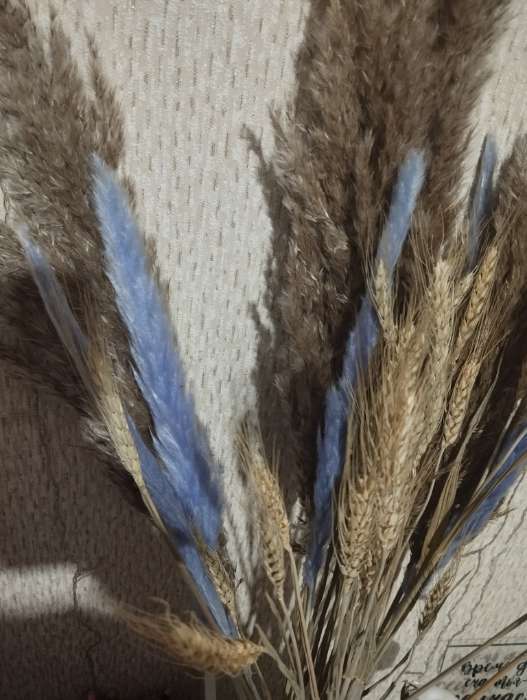 Фотография покупателя товара Сухоцветы «Камыш», h=80 см, (фасовка 5 шт., цена за 1 шт.), бежевые - Фото 4