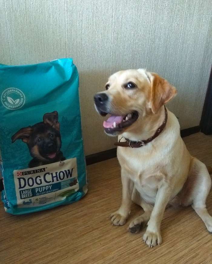 Фотография покупателя товара Сухой корм DOG CHOW PUPPY LARGE BREED для щенков крупных пород, индейка, 14 кг