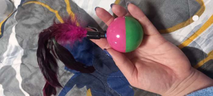 Фотография покупателя товара Игрушка-неваляшка для кошек, с перьями, цвет МИКС - Фото 2