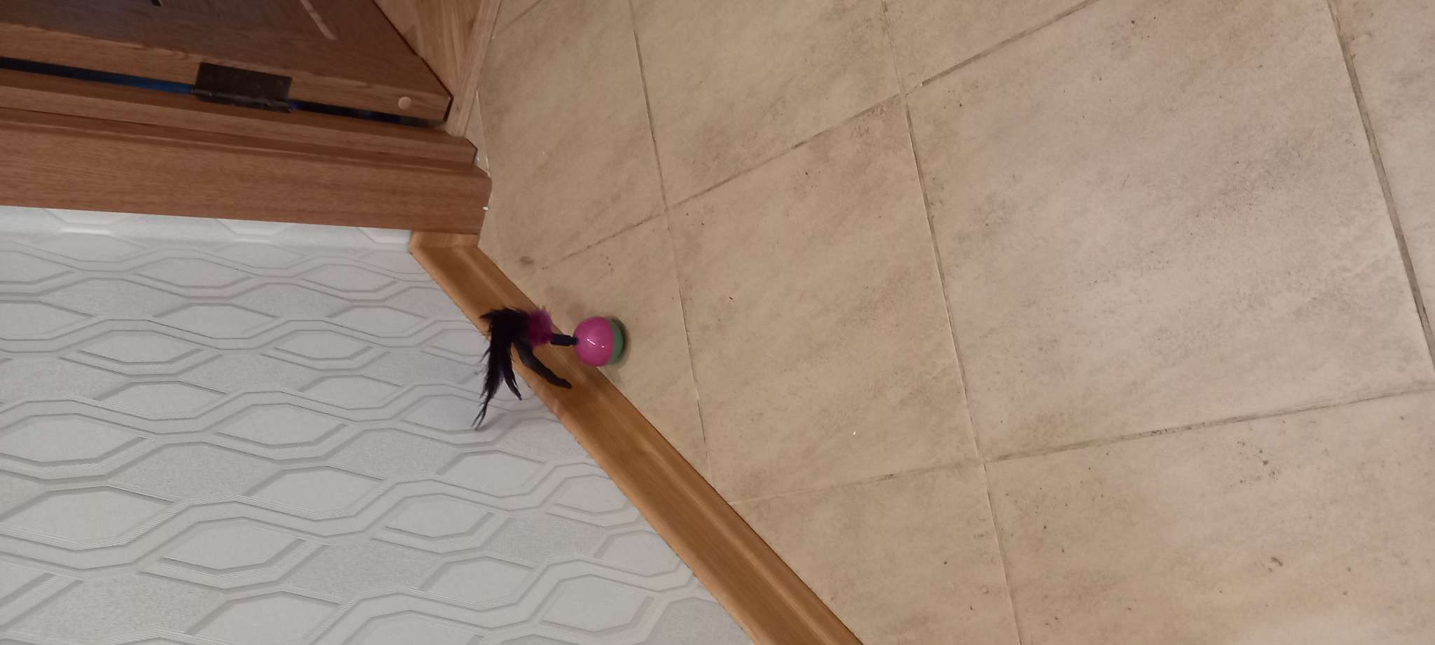 Фотография покупателя товара Игрушка-неваляшка для кошек, с перьями, цвет МИКС - Фото 3