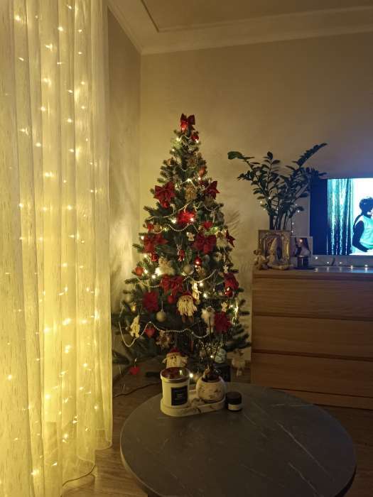 Фотография покупателя товара Ёлочные игрушки 2 шт. «Зимнее волшебство. Резной цветок» пластик, 8.5 см, красный - Фото 2