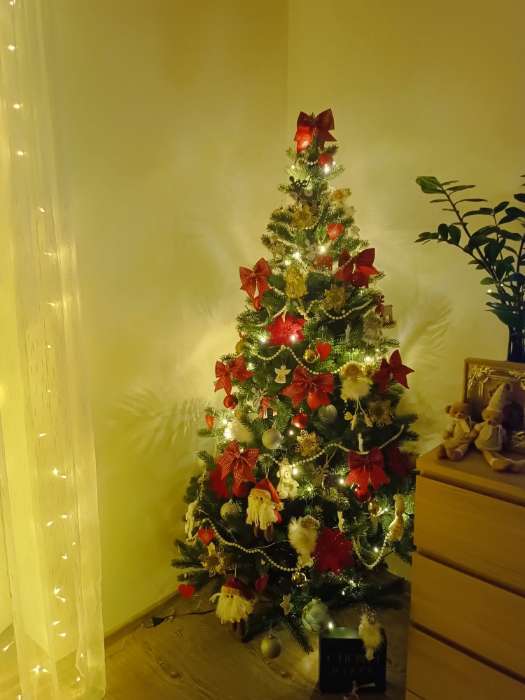 Фотография покупателя товара Ёлочные игрушки 2 шт. «Зимнее волшебство. Бантик плетёный» пластик, 15×12 см, красный - Фото 6