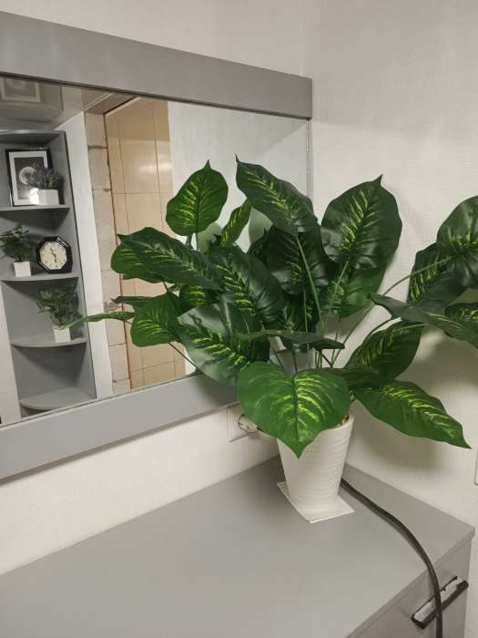 Фотография покупателя товара Куст искусственный «Диффенбахия», h=65 см