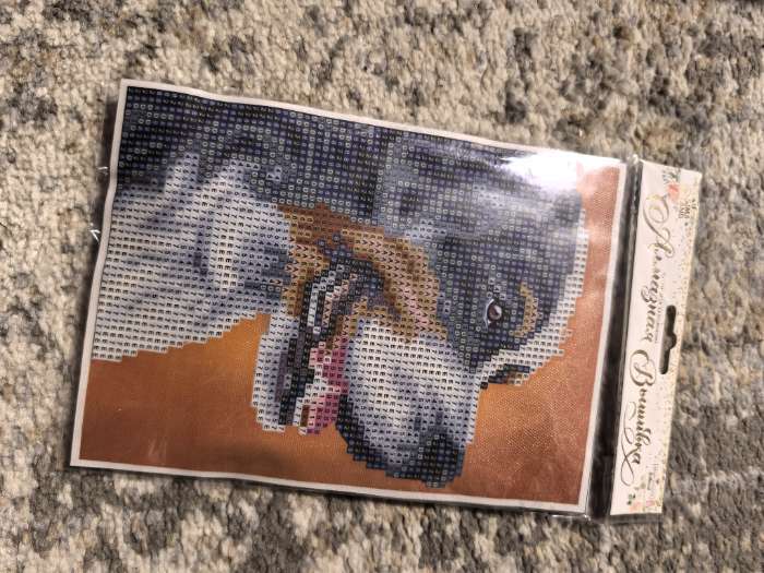 Фотография покупателя товара Алмазная мозаика с частичным заполнением на холсте «Собака», 15×21 см - Фото 2