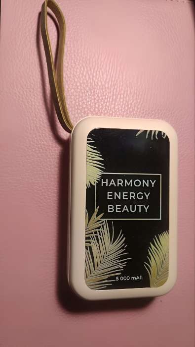 Фотография покупателя товара Зарядное устройство Harmony, 5000мА, мод. PB-02, 10.4×6.4 см - Фото 4