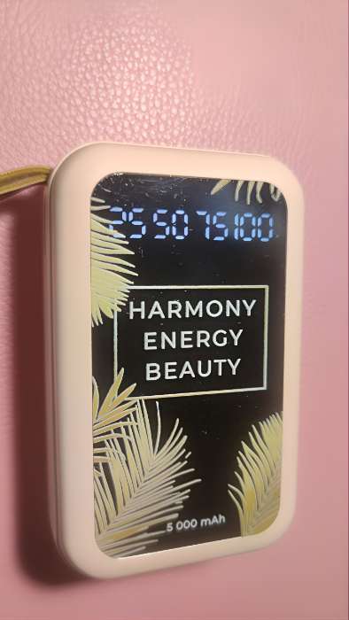 Фотография покупателя товара Зарядное устройство Harmony, 5000мА, мод. PB-02, 10.4×6.4 см - Фото 2