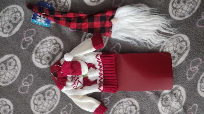 Фотография покупателя товара Одежда на бутылку «Костюм», Дед Мороз - Фото 5