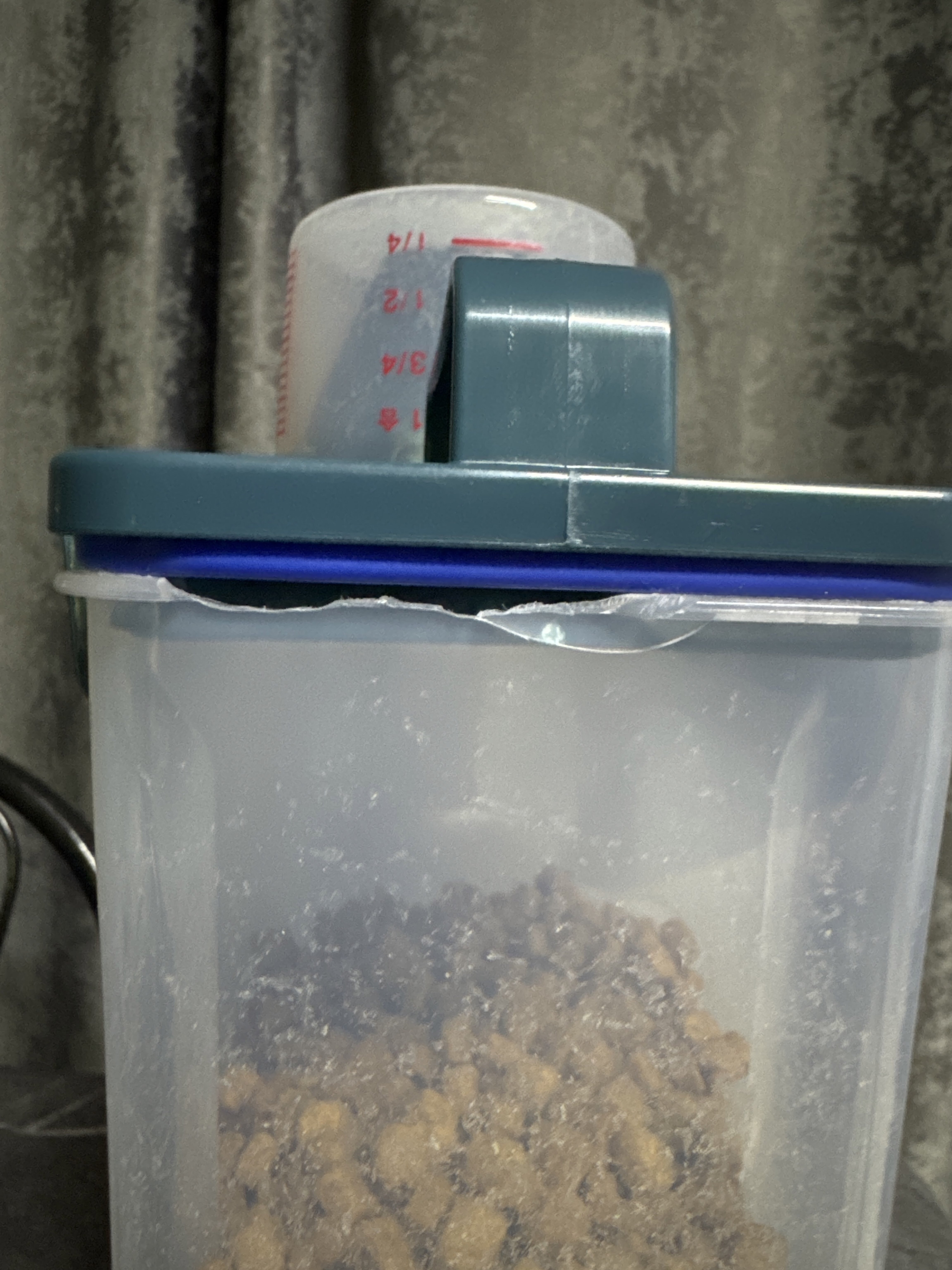 Фотография покупателя товара Контейнер для хранения сыпучих с дозатором, 2 кг, 17×10.5×29 см, пластик, прозрачный - Фото 1