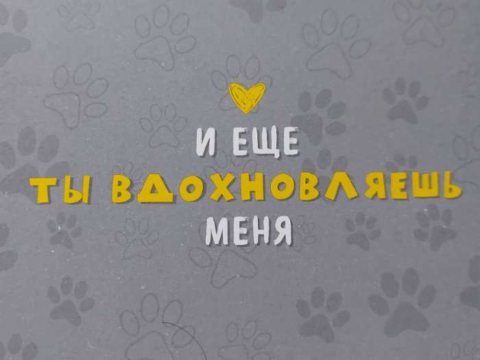 Фотография покупателя товара Тетрадь для скетчей А5, 16 листов "Собачки", обложка мелованный картон, блок 100 г/м2 - Фото 2