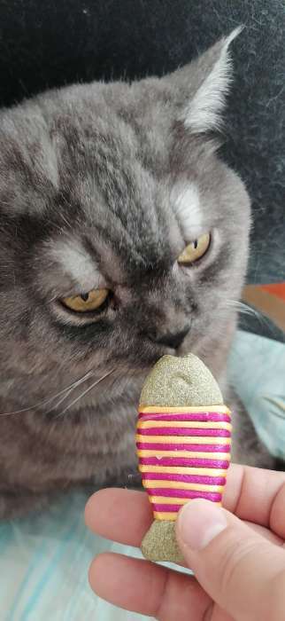 Фотография покупателя товара Игрушка для кошек из кошачьей мяты «Полосатая рыбка», 7 см, жёлтая, розовая - Фото 3