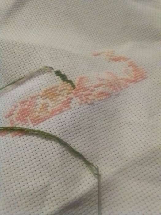 Фотография покупателя товара УЦЕНКА Вышивка на пяльцах «Розы», 20х20 см - Фото 1