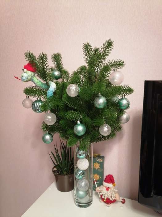 Фотография покупателя товара Ёлочные игрушки «Морозный день», шары новогодние, d=3.5 см, набор 6 шт., зелёный/белый - Фото 1