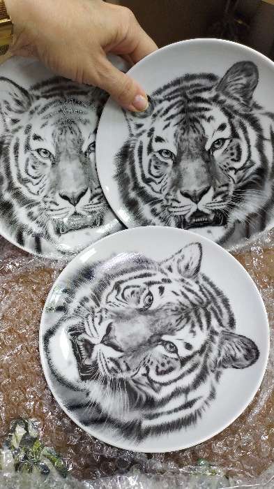 Фотография покупателя товара Тарелка фарфоровая «Тигр», d=17,5 см, белая