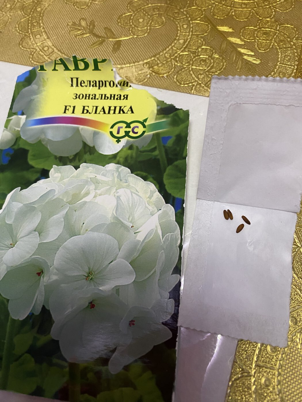 Фотография покупателя товара Семена цветов Пеларгония "Бланка ", ц/п,  зональная, F1, 4 шт - Фото 3