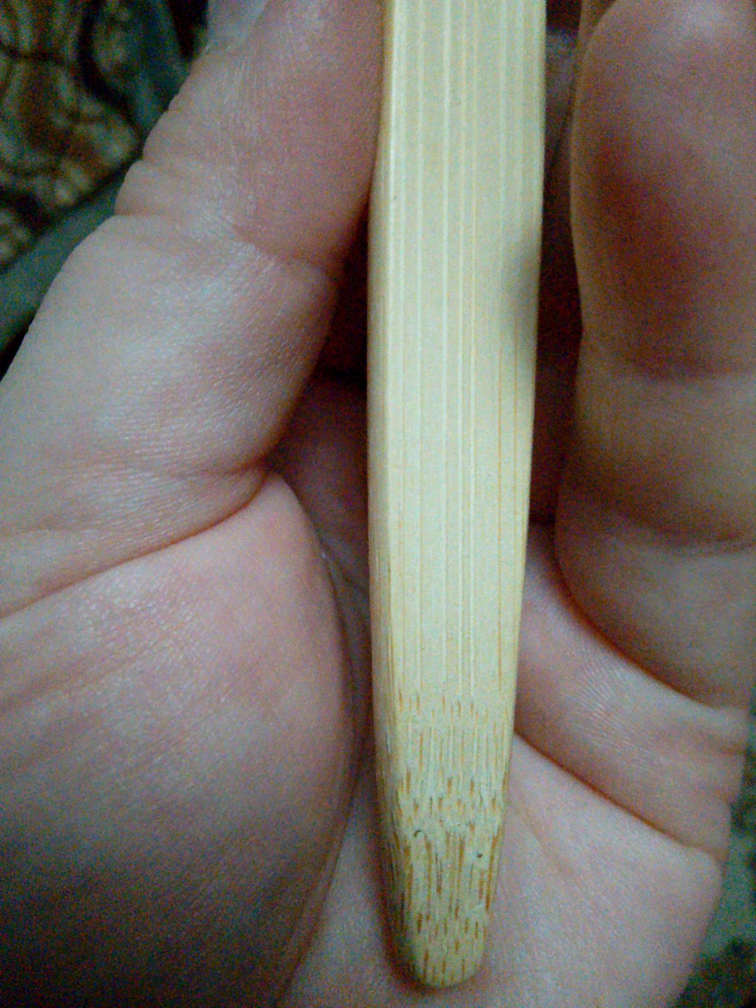 Фотография покупателя товара Зубная щетка бамбуковая средняя 10 штук, микс цветов - Фото 3