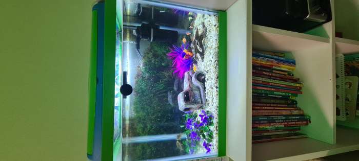 Фотография покупателя товара Растение искусственное аквариумное кустовое, 10 см, фиолетовое - Фото 2