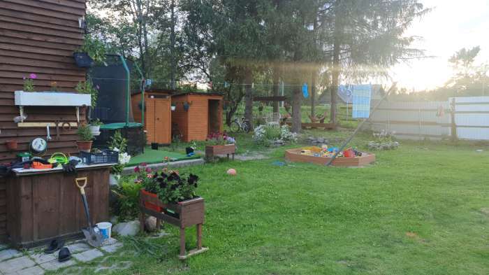 Фотография покупателя товара Семена цветов Петуния крупноцветковая «Пиковая дама», F1, Premium seeds - Фото 1