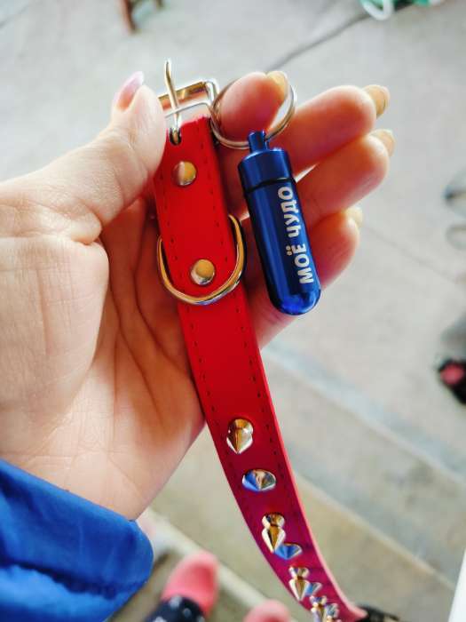 Фотография покупателя товара Ошейник с шипами «Лион», 45×2 см, ОШ 34-40 см, искусственная кожа, чёрный - Фото 2