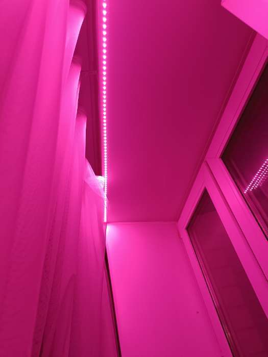 Фотография покупателя товара Фитолента для растений Luazon Lighting, светодиодная, 6.2 Вт, 1 м, IP20, 5 В, 60 LED/м, USB, SMD5050, мультиспектральная - Фото 8