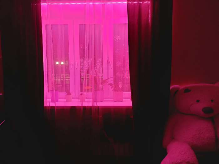 Фотография покупателя товара Фитолента для растений Luazon Lighting, светодиодная, 6.2 Вт, 1 м, IP20, 5 В, 60 LED/м, USB, SMD5050, мультиспектральная - Фото 5