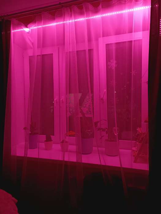 Фотография покупателя товара Фитолента для растений Luazon Lighting, светодиодная, 6.2 Вт, 1 м, IP20, 5 В, 60 LED/м, USB, SMD5050, мультиспектральная - Фото 6
