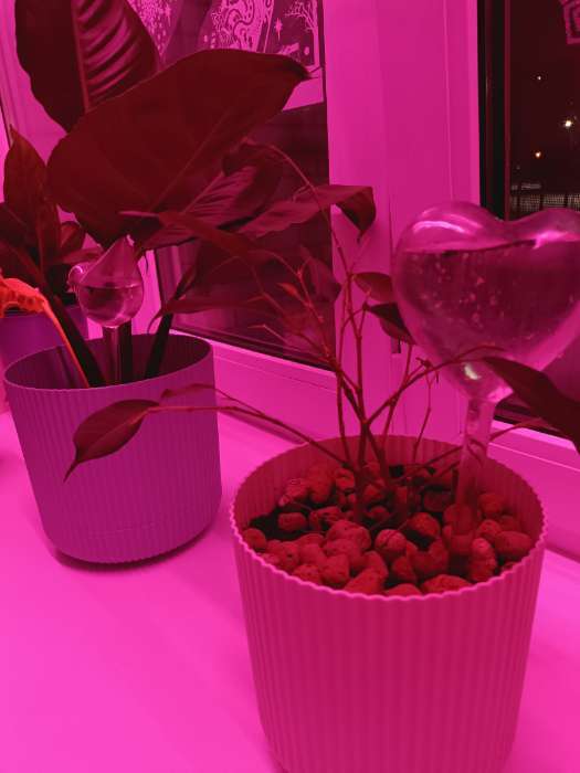 Фотография покупателя товара Фитолента для растений Luazon Lighting, светодиодная, 6.2 Вт, 1 м, IP20, 5 В, 60 LED/м, USB, SMD5050, мультиспектральная - Фото 7