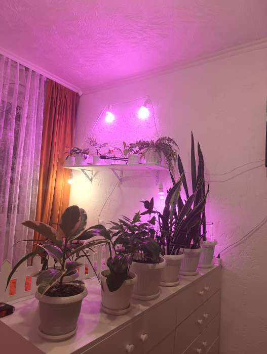 Фотография покупателя товара Полка 1000х400х16мм, Венге - Фото 2