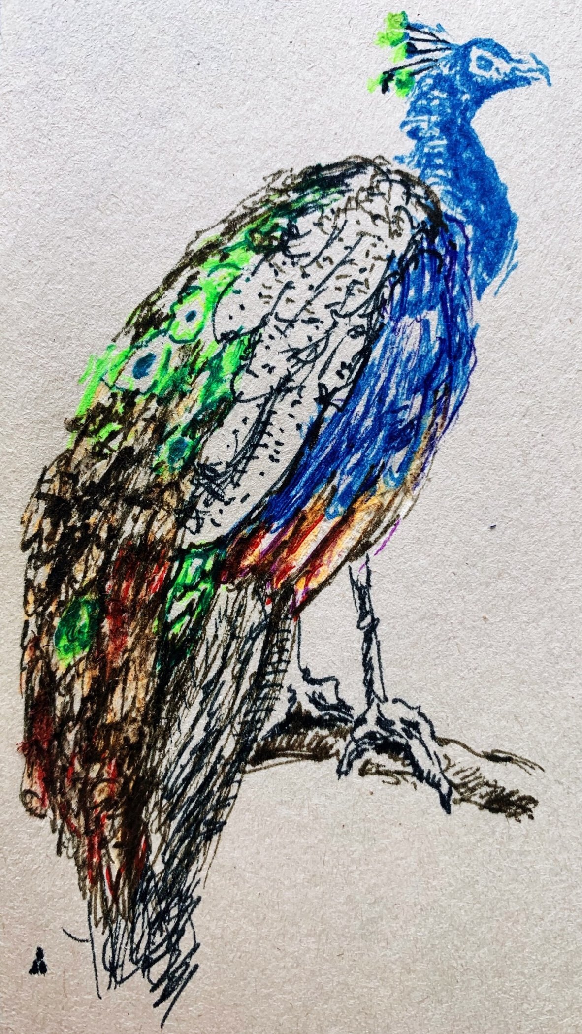 Фотография покупателя товара Ручка капиллярная Faber-Castell GRIP Finepen 1516, линер 0.4 мм, чёрная - Фото 2