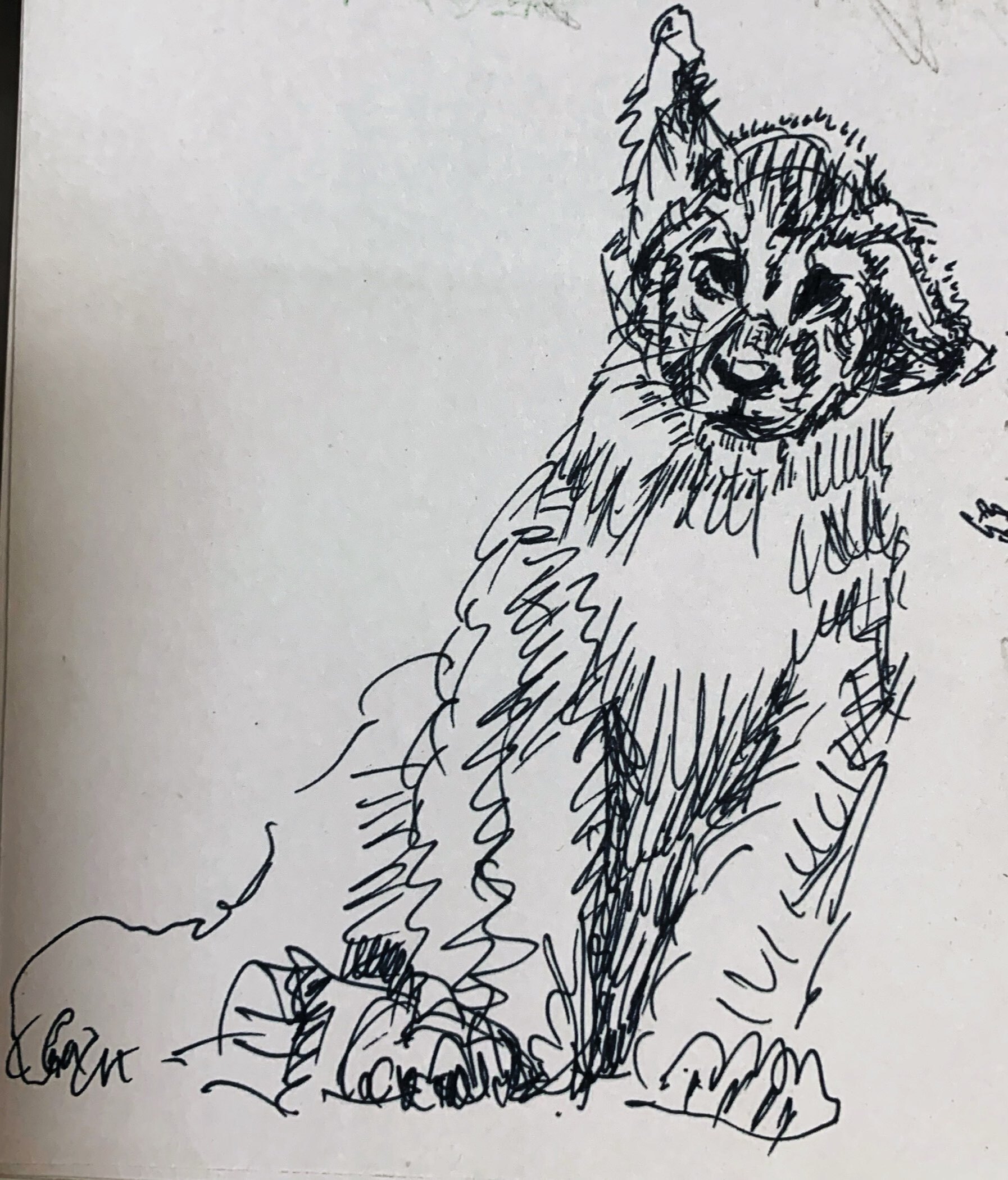 Фотография покупателя товара Ручка капиллярная Faber-Castell GRIP Finepen 1516, линер 0.4 мм, чёрная - Фото 4