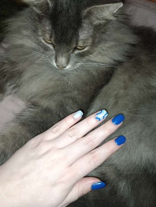 Фотография покупателя товара Гель лак для ногтей, молочный, с поталью, трехфазный, 8 мл, LED/UV, белый, красный (12) - Фото 5