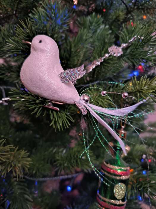 Фотография покупателя товара Ёлочные игрушки 3 шт. «Зимнее волшебство. Маленькая птичка» пластик, 5×11.5 см, белый - Фото 1