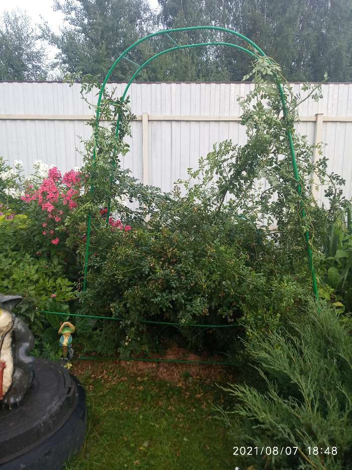Фотография покупателя товара Арка садовая, разборная, 240 × 125 × 36.5 см, металл, зелёная, Greengo - Фото 10