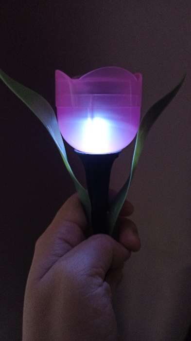 Фотография покупателя товара Садовый светильник на солнечной батарее «Тюльпан розовый», 4.5 × 29 × 4.5 см, 1 LED, свечение белое - Фото 4