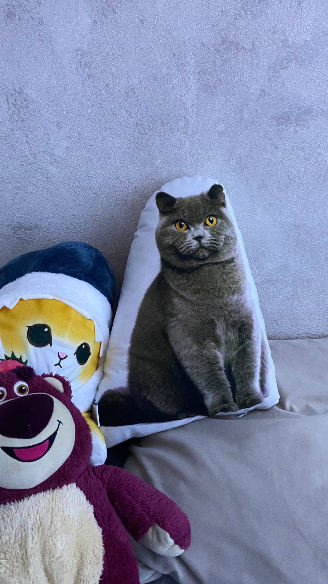 Фотография покупателя товара Подушка декоративная Этель «Кот» 33×40 см, велюр - Фото 6